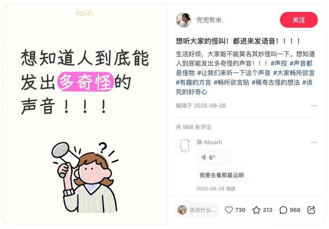 _小红书,再造一个更有「声」命力的社区_小红书,再造一个更有「声」命力的社区