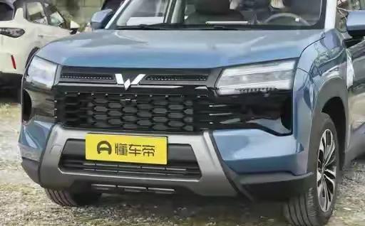 邻居保密厂高工一句话，暴露了五菱的“神车”滤镜碎成渣-有驾