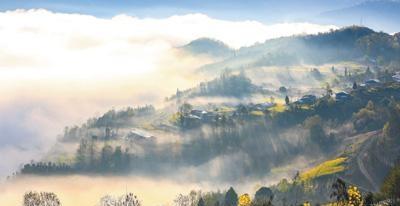 邻居保密厂高工一句话，暴露了五菱的“神车”滤镜碎成渣-有驾