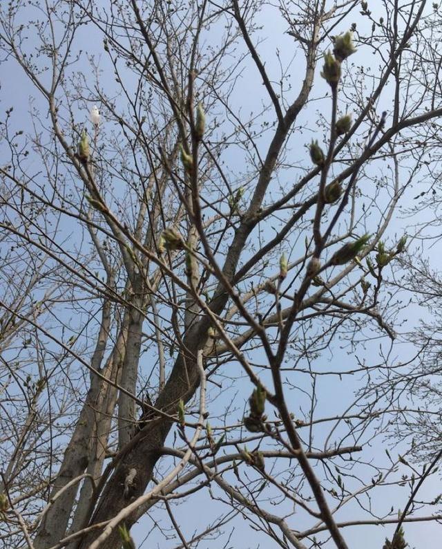 邻居保密厂高工一句话，暴露了五菱的“神车”滤镜碎成渣-有驾