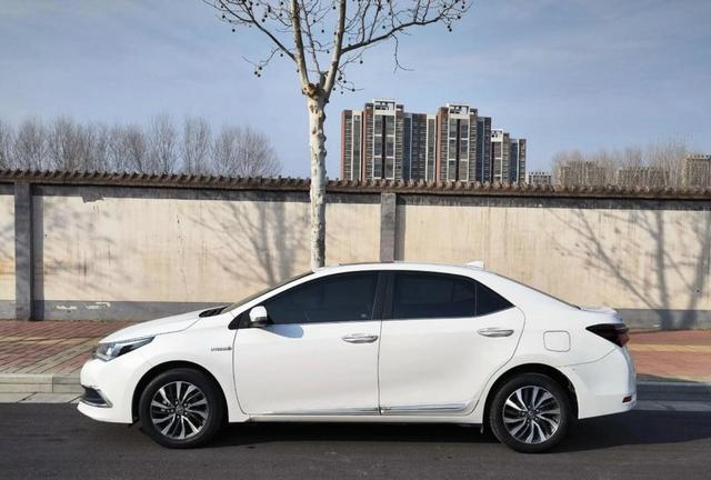 不管你承不承认，这就是赤裸裸的现实，有车家庭买车看空间、省油、安全，卡罗拉成为首选，实用到骨子里让养娃顾家更踏实幸福-有驾