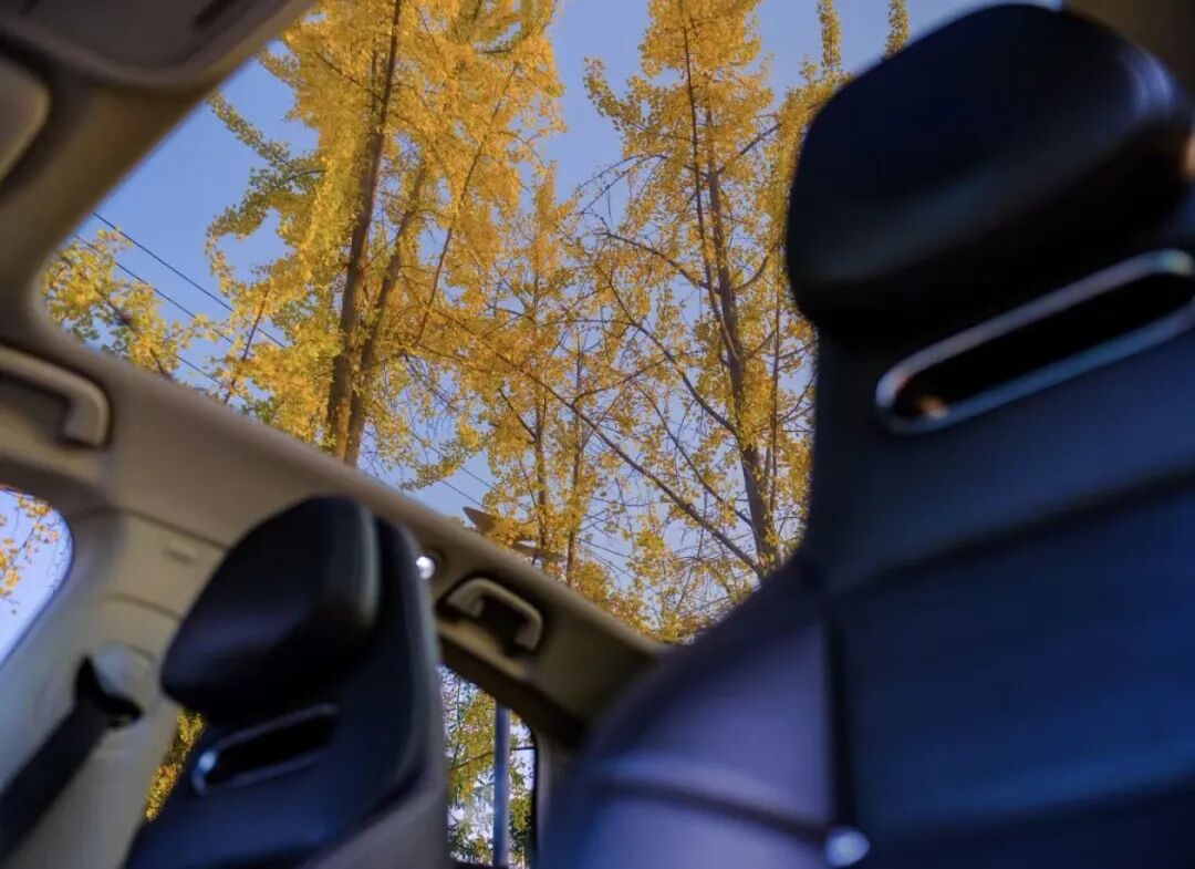 消费汽车_汽车消费品_