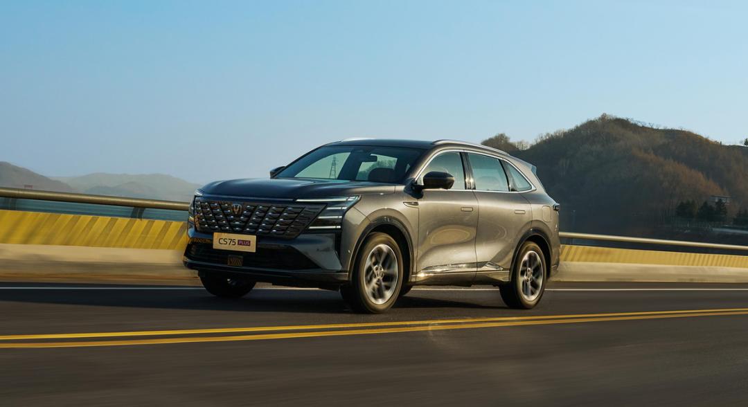 _国产燃油车推荐_国产车燃油排行榜