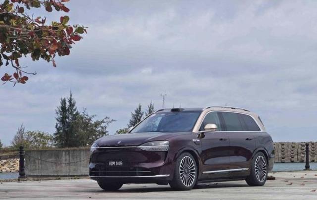 问界M9新年福气的传递者，成为春晚“送福官”，用智能科技和高安全性守护每一次出行-有驾