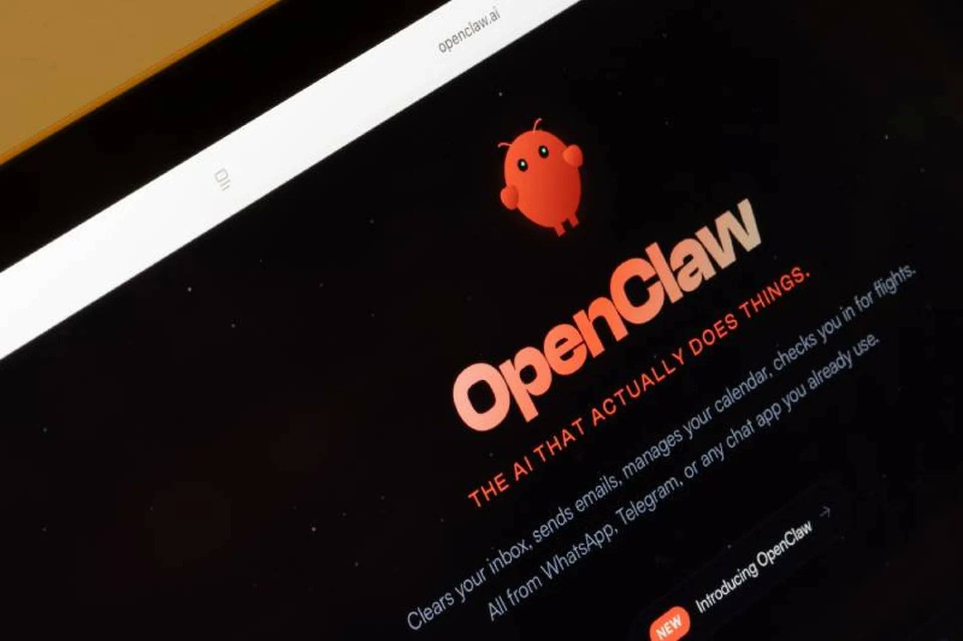 _OpenClaw 之父加入 OpenAI 前最后的访谈：你很难跟一个纯粹为了好玩的人竞争_OpenClaw 之父加入 OpenAI 前最后的访谈：你很难跟一个纯粹为了好玩的人竞争