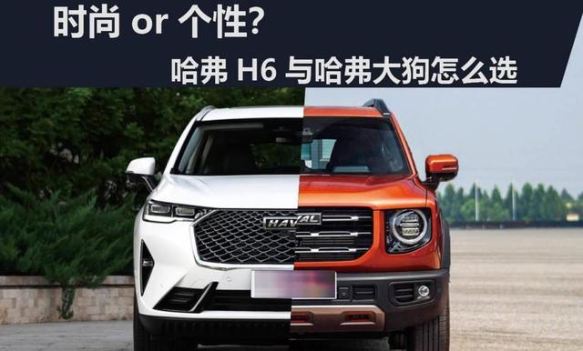 差点买错逍客省油又便宜,合资家用足够省心,老司机为何更青睐动力空间兼备的哈弗大狗-有驾