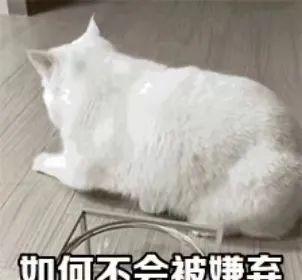 驾照自学直考,为何成了摆设?背后利益链浮出水面-有驾