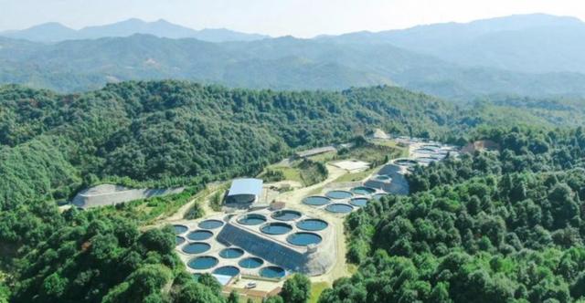 很多人总念叨丰田、索尼、日立，觉得日本制造很强，但在日本的华人直言质问，一旦中国禁令释放，这些巨头还能撑多久-有驾