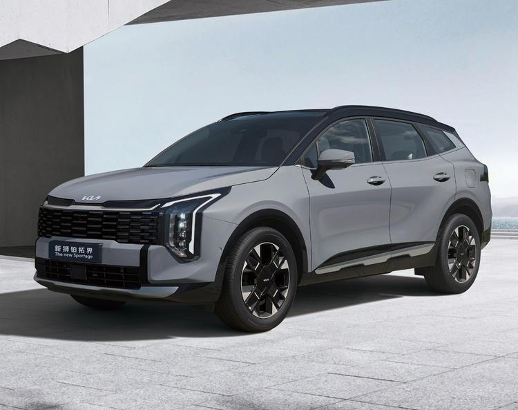 2021年买油车_2021年油牌什么时候摇_