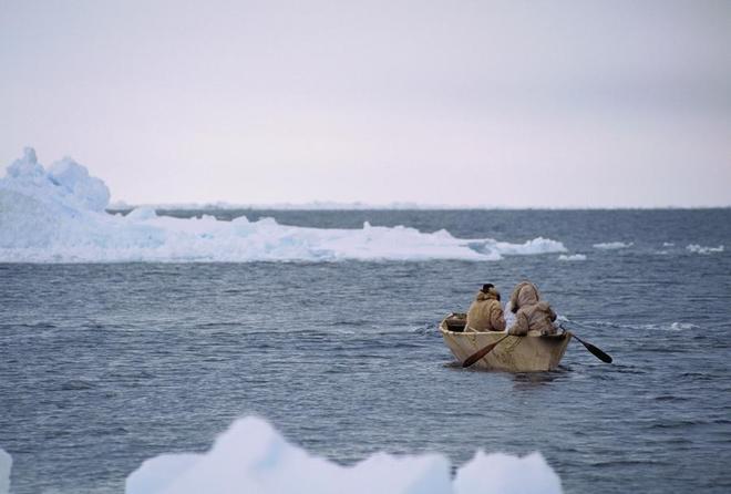 _北极冰原,并非是空白或沉默的土地——读《因纽特人的语言》_北极冰原,并非是空白或沉默的土地——读《因纽特人的语言》