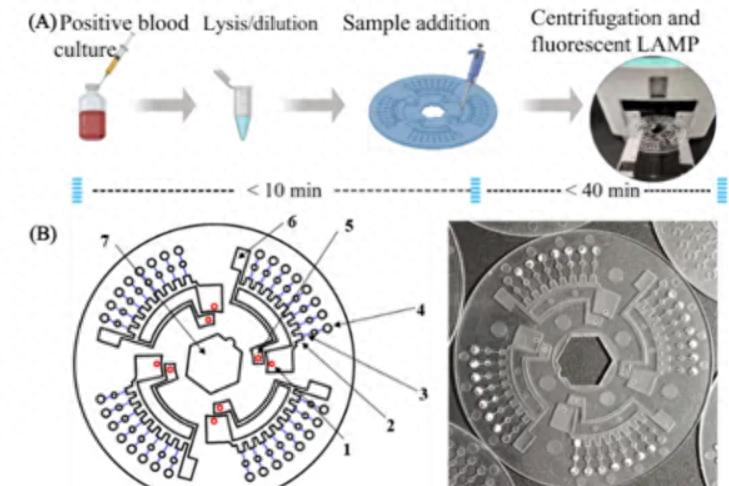 国产新型血流感染诊断芯片问世：成本仅30元，已完成初步临床验证