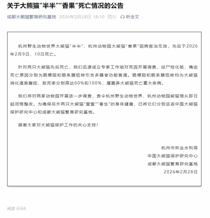 杭州两只大熊猫接连死亡：闭馆整改 其余熊猫运回成都
