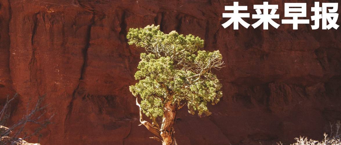 早报｜更便宜的MacBook有望本周发布/荣耀机器人手机正式亮相/小米徕卡手机国行版官宣