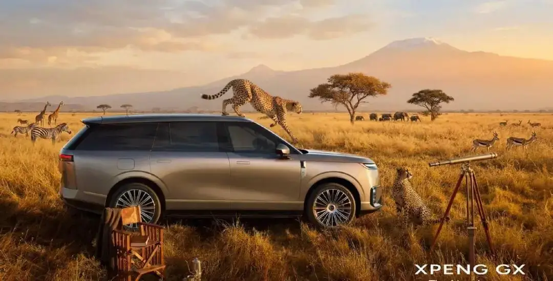 _新能源涨价_新能源汽车涨价了吗