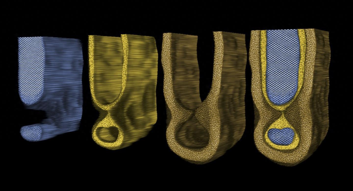 人类首次直接观察到芯片“鼠咬”缺陷，有望彻底改变半导体研发