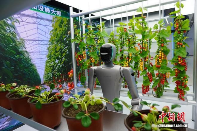 河南机汽人汽车配件有限公司__河南机器人公司排名