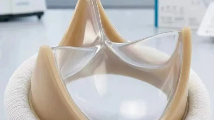 国产技术再突破！高分子二尖瓣植入成功，2500万患者迎来新希望