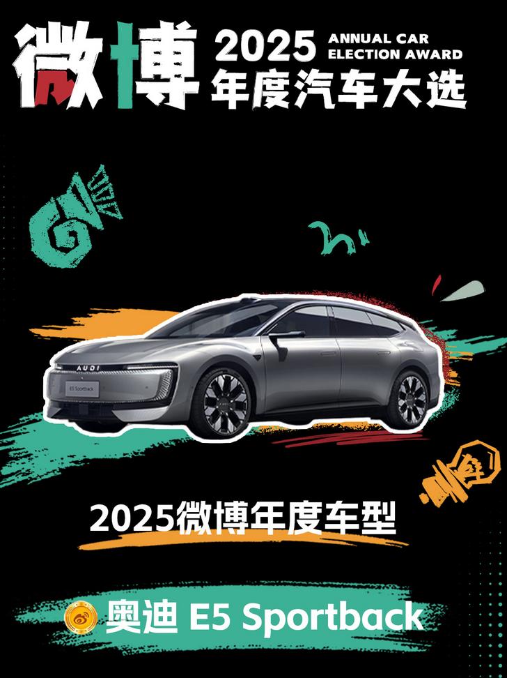 奥迪限量版车_奥迪限定款_